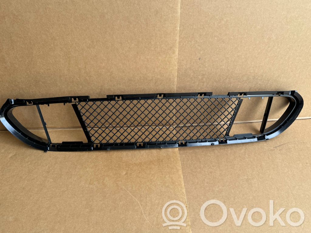 BMW iX Front bumper lower grill 
