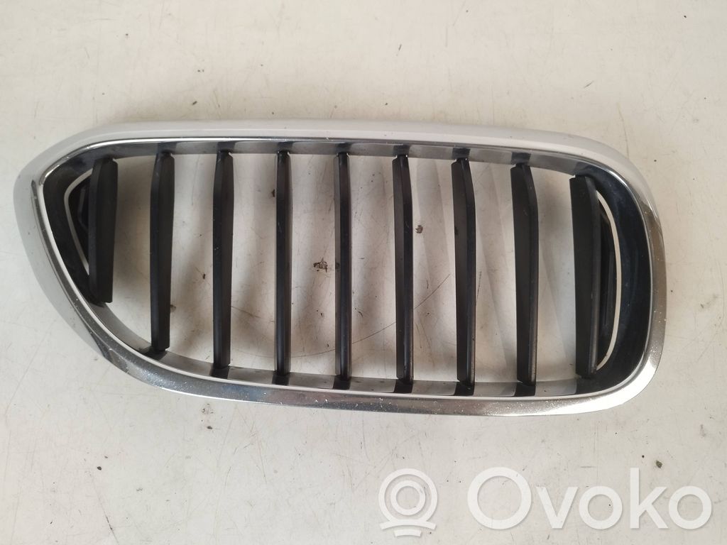 BMW 5 G30 G31 G38 Grilă radiator față 