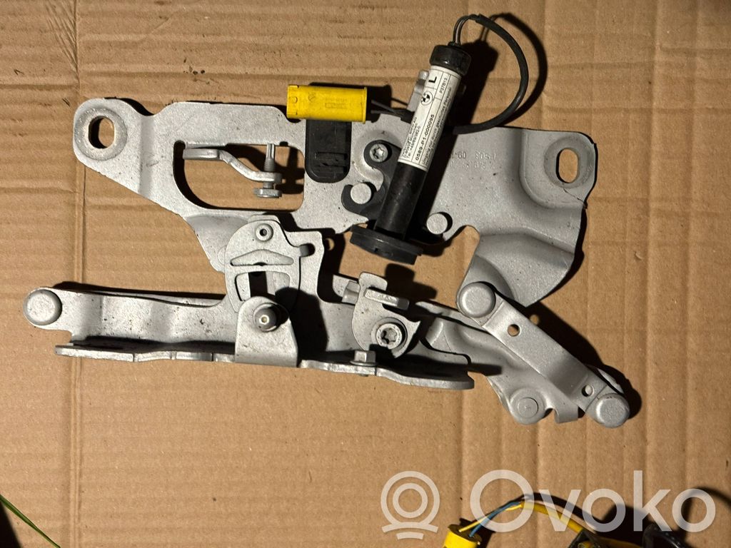 BMW 6 F06 Gran coupe Cerniere del vano motore/cofano 