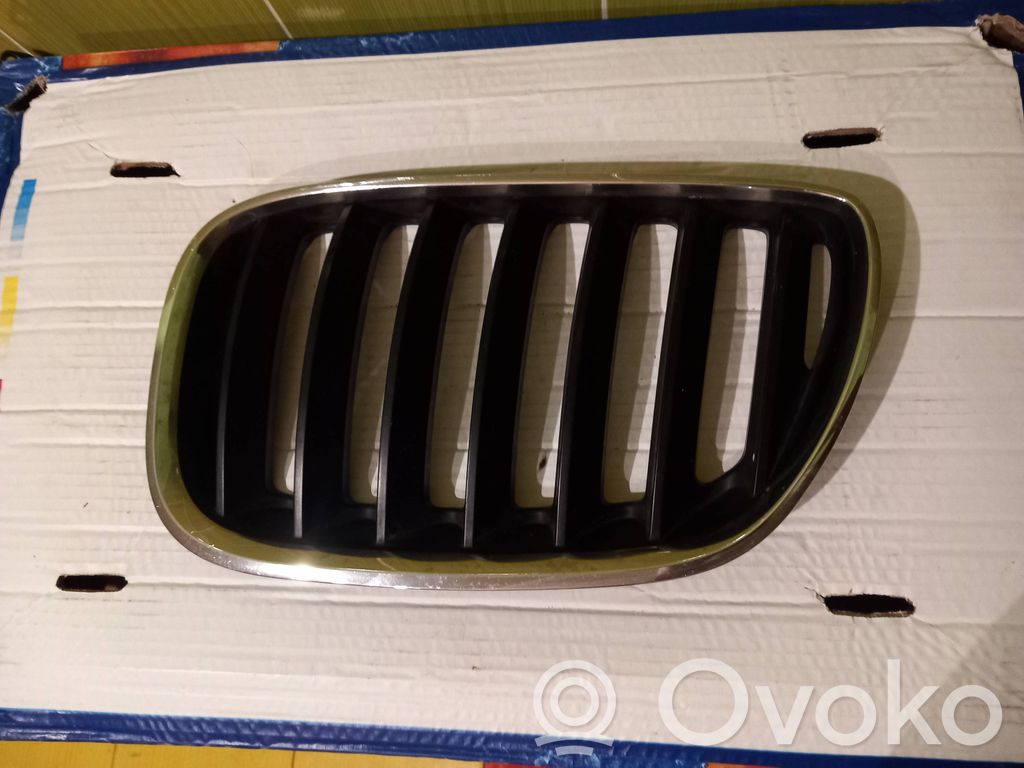 BMW X5 E53 Front grill 