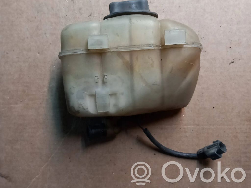 Volvo S80 Zbiornik wyrównawczy chłodziwa 