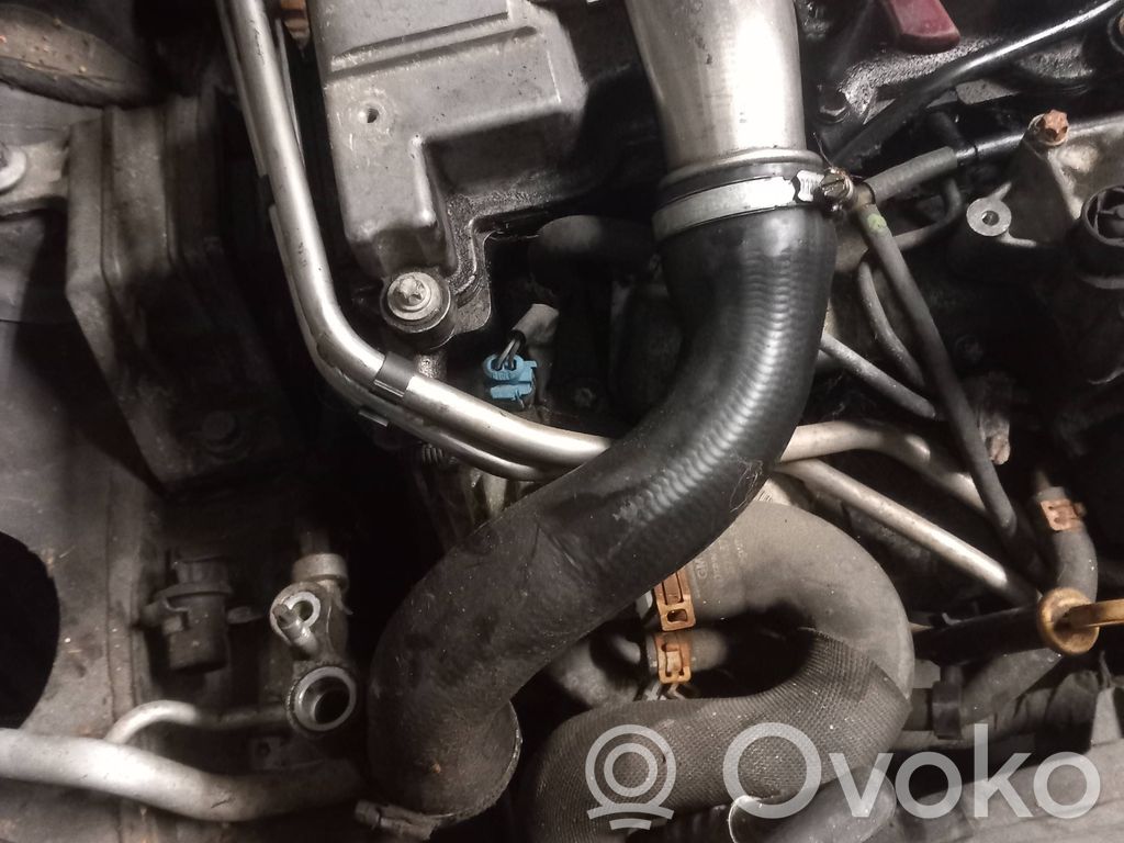Intercooler hose/pipe   50157B