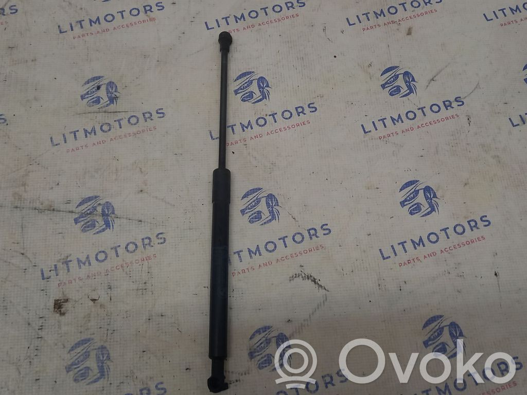 Vérin, capot-moteur   7129190