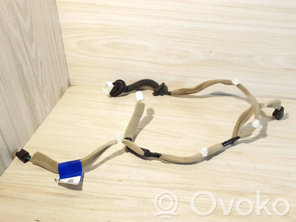 Cableado de puerta trasera   241273989R