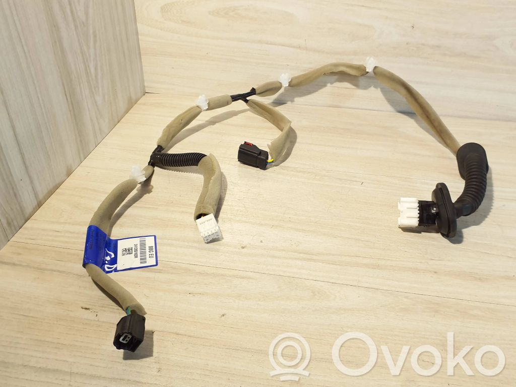 Cableado de puerta trasera   241265163R