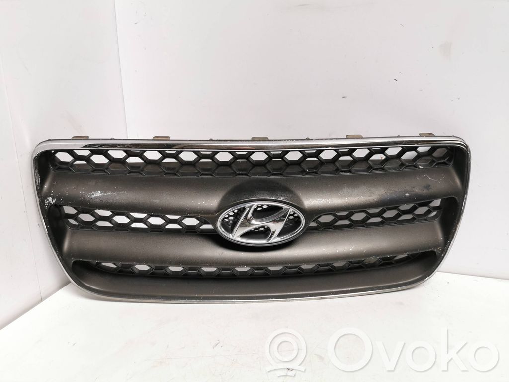 Hyundai Santa Fe Front bumper upper radiator grill 