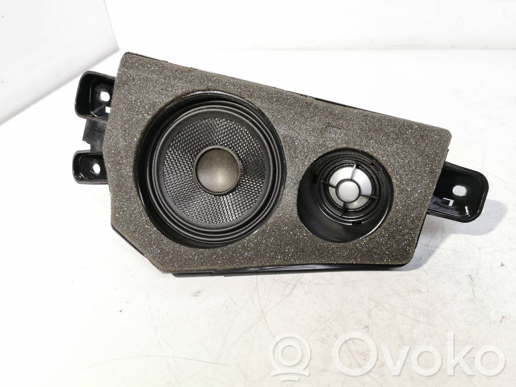 BMW X6 E71 Rear door speaker 