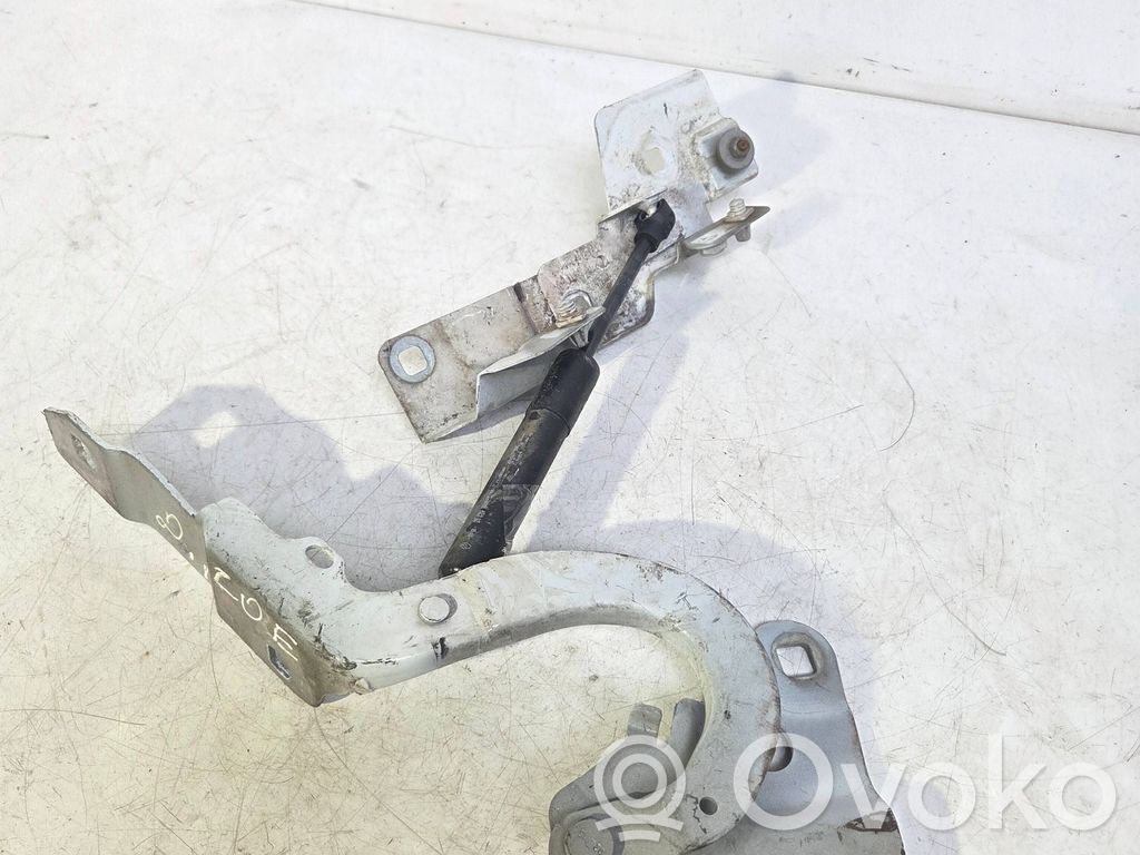 Renault Zoe Engine bonnet/hood hinges 