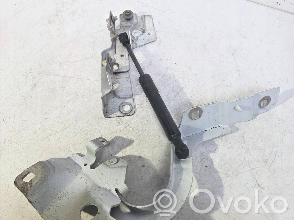 Renault Zoe Engine bonnet/hood hinges 