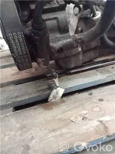 Power steering pump   K4M700,7700420305