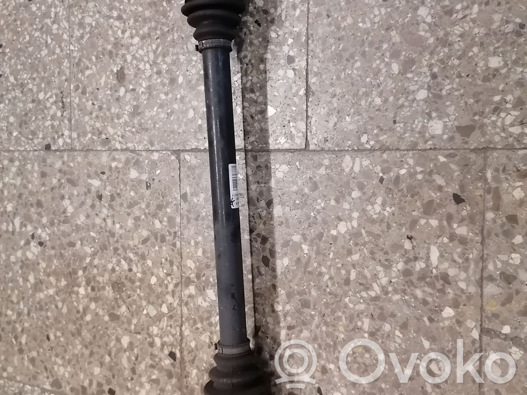 BMW X5 E70 Galinis pusašis 