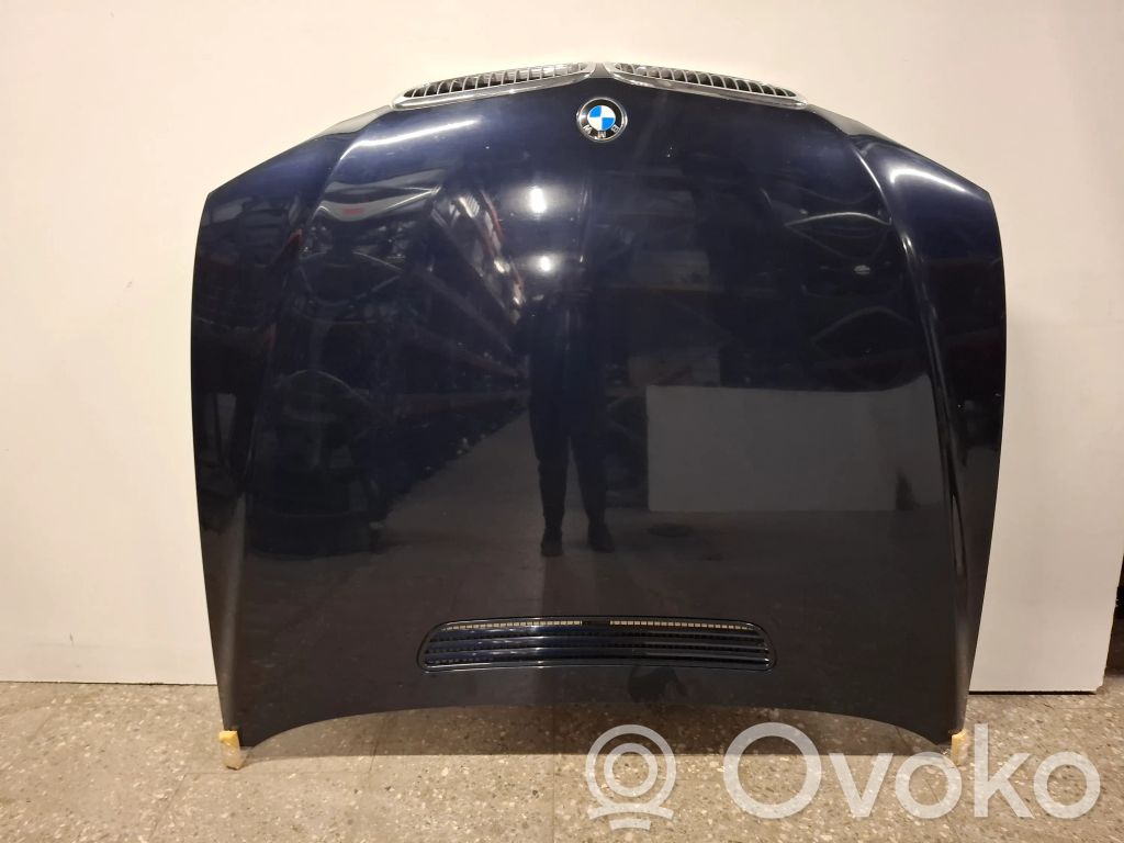 Motorhaube   6920708