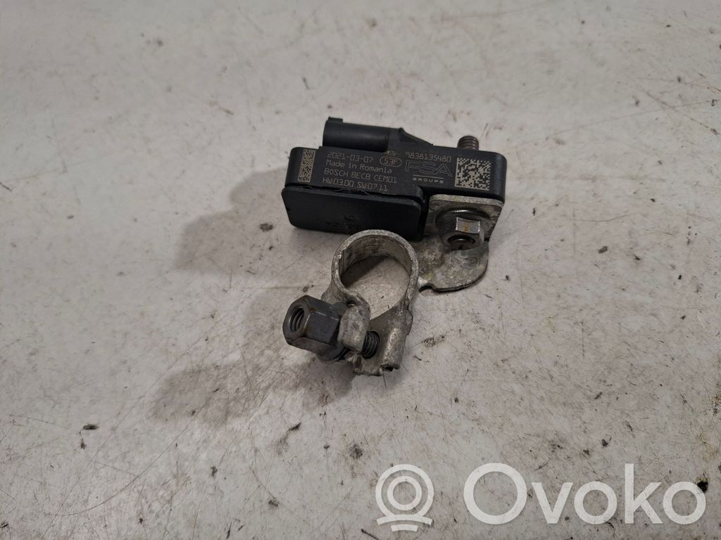 Citroen DS7 Crossback Negative earth cable (battery) 