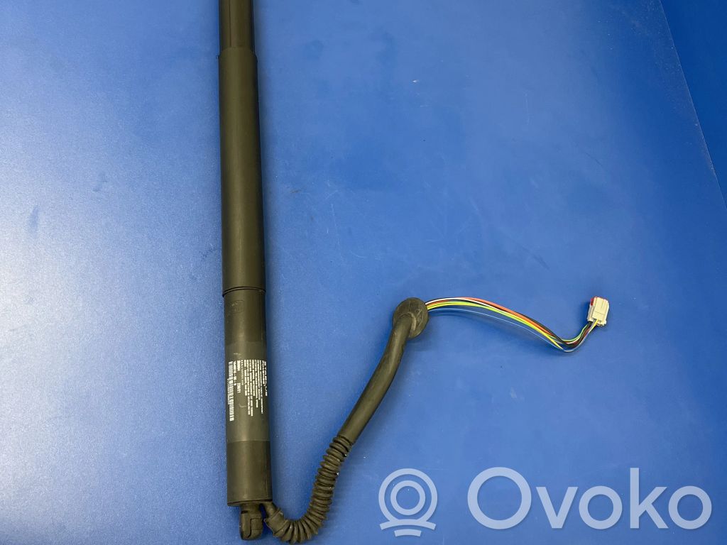 Tesla Model S Tailgate strut 