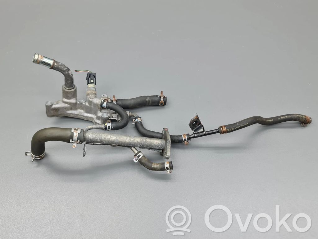 Honda Accord Caurulīte (-es) / šļūtene (-es) 