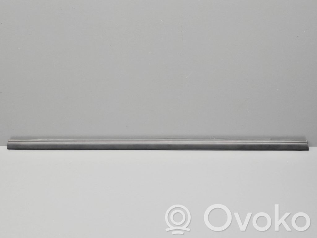 Ford Fiesta Rear door glass trim molding 