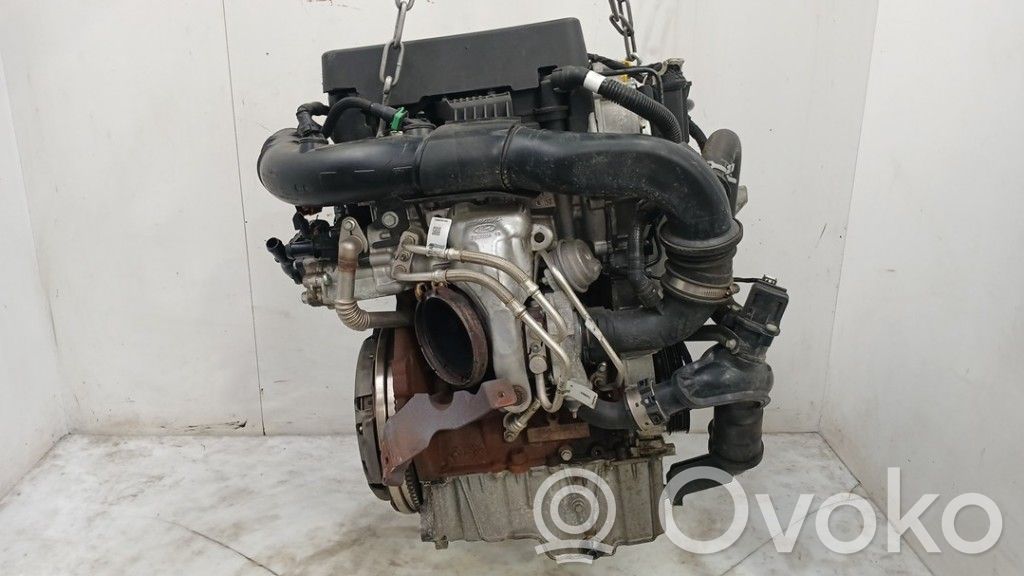 Engine   2463334,LX6G6006UA,2463334,LX6G6006UA