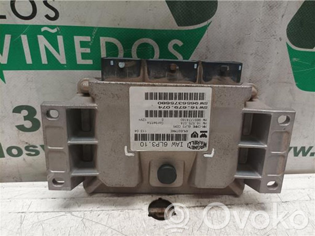 Engine control unit/module ECU   3FZEW12J4,IAW6LP310