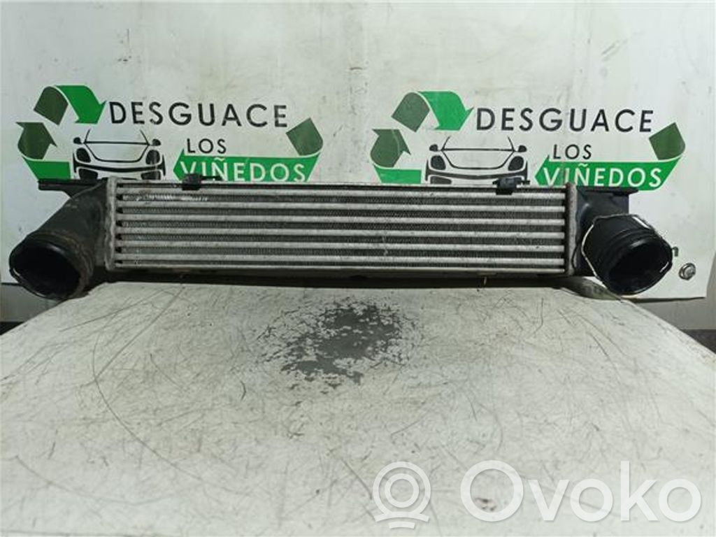 Radiador intercooler   204D4,3093796