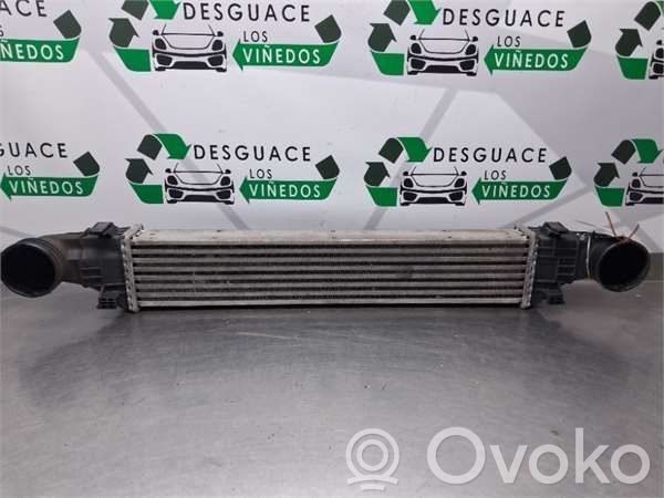 Mercedes-Benz E AMG W211 Radiator intercooler 