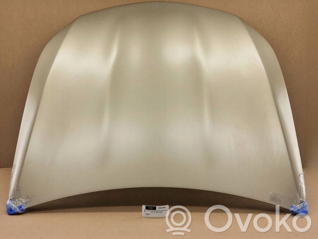 Mercedes-Benz AMG GT 4 x290 w290 Engine bonnet/hood 