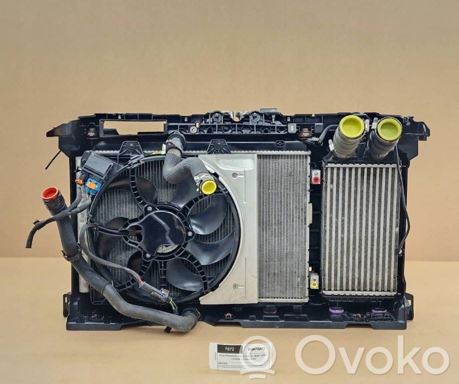 Citroen DS3 Pannello di supporto del radiatore 