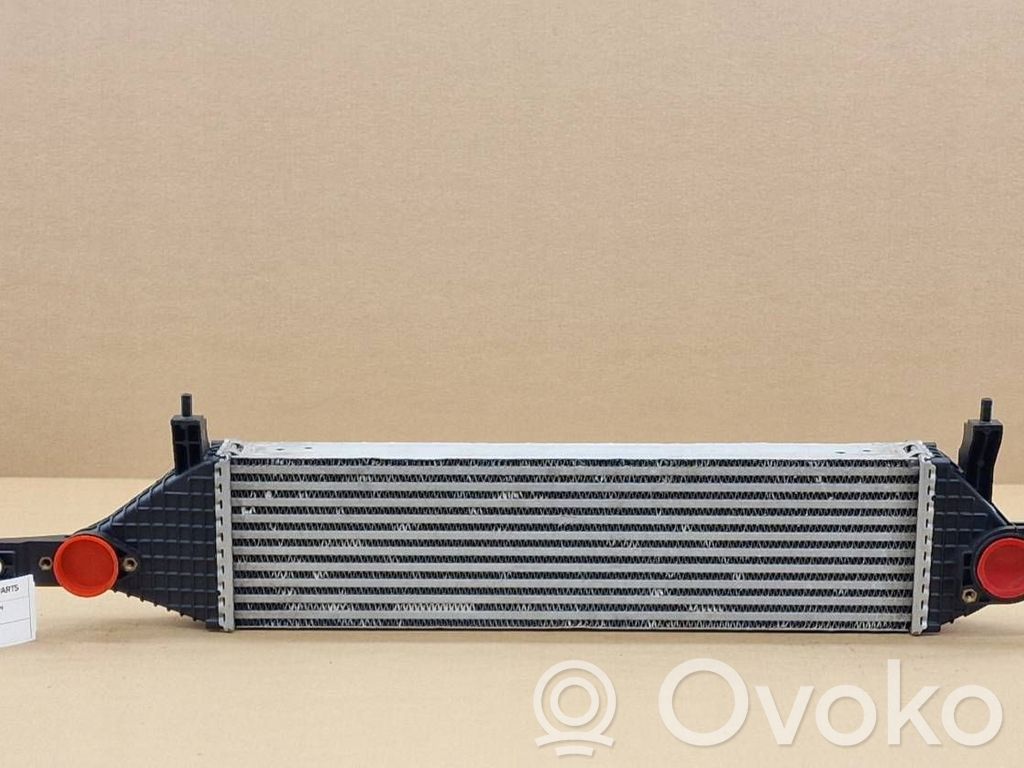 Nissan Qashqai Starpdzesētāja radiators 