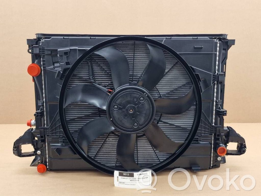Mercedes-Benz CLS C257 Radiatorių komplektas 