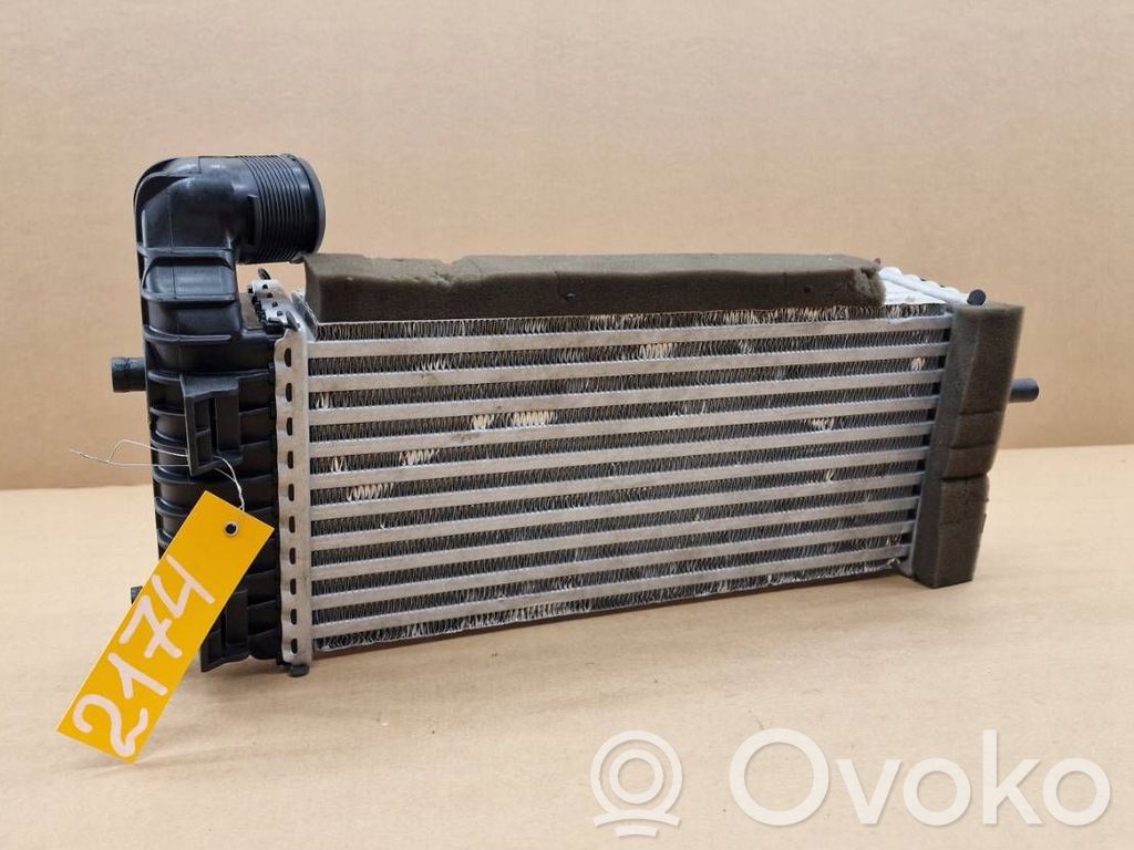 Interkūlerio radiatorius   2174,1796565,1803543,1823088,2027395,BV619L440CH,BV619L440CJ,BV619L440CK
