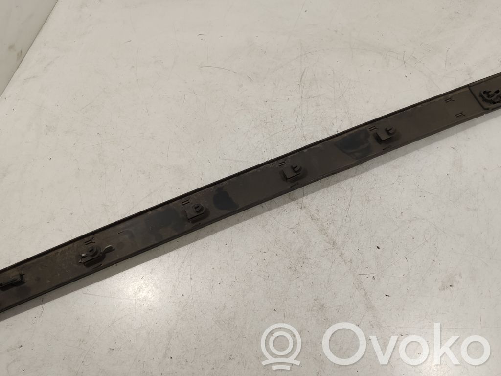 Renault Megane II Priekšpusē durvju dekoratīvā apdare (moldings) 