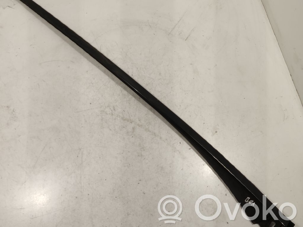 Windshield trim   8200012941