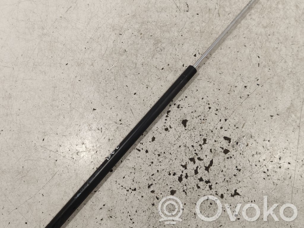 Citroen Berlingo Tailgate/trunk strut/damper 