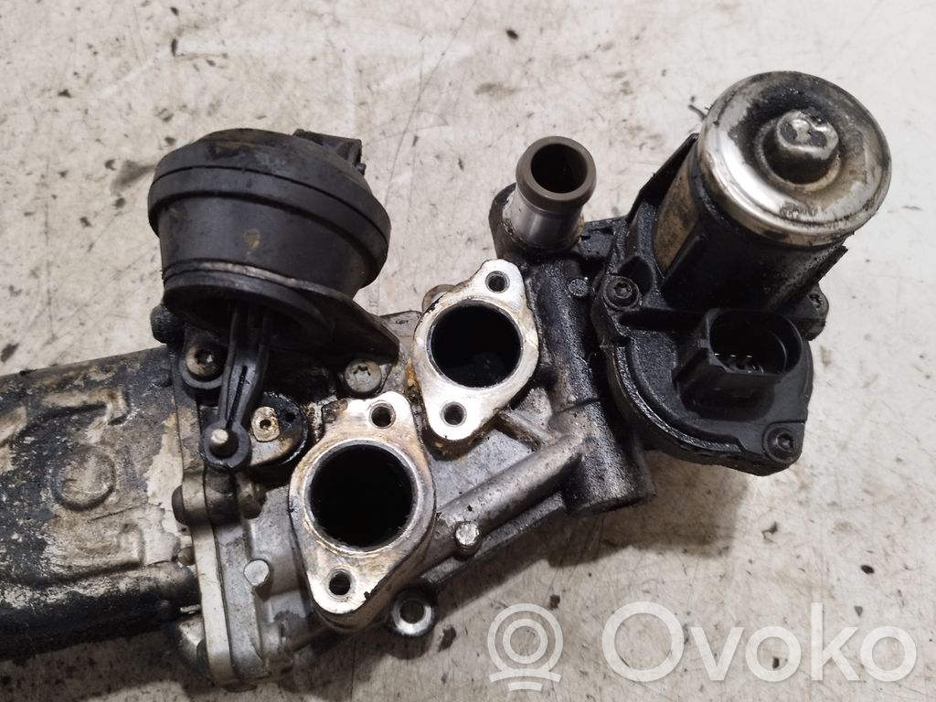 Volkswagen Golf VI Válvula EGR 
