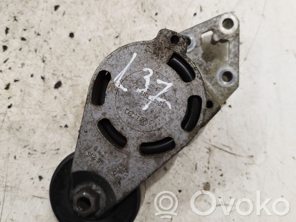 Skoda Roomster (5J) Tendicinghia generatore/alternatore 