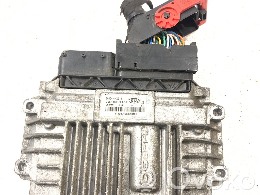 KIA Carnival Engine control unit/module 