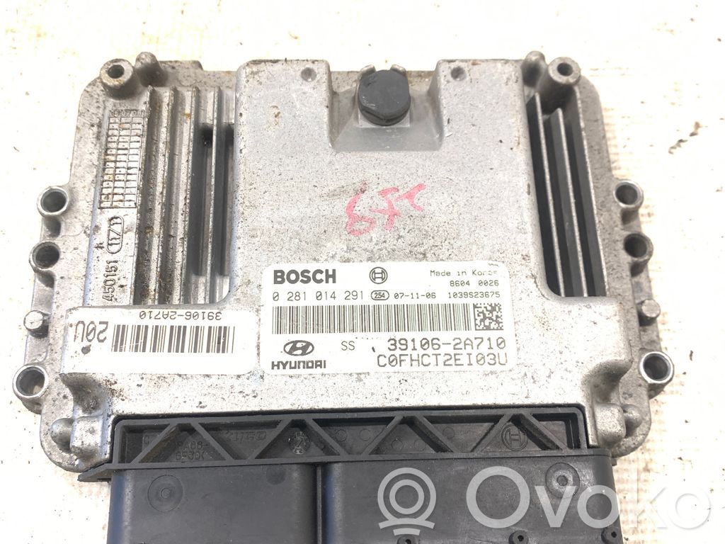 Engine control unit/module   391062A710,1039S23675,0281014291