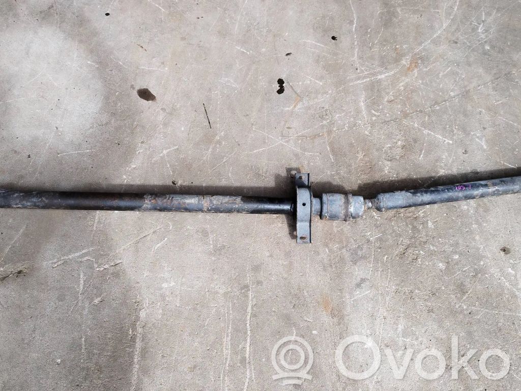 Drive shaft (set)