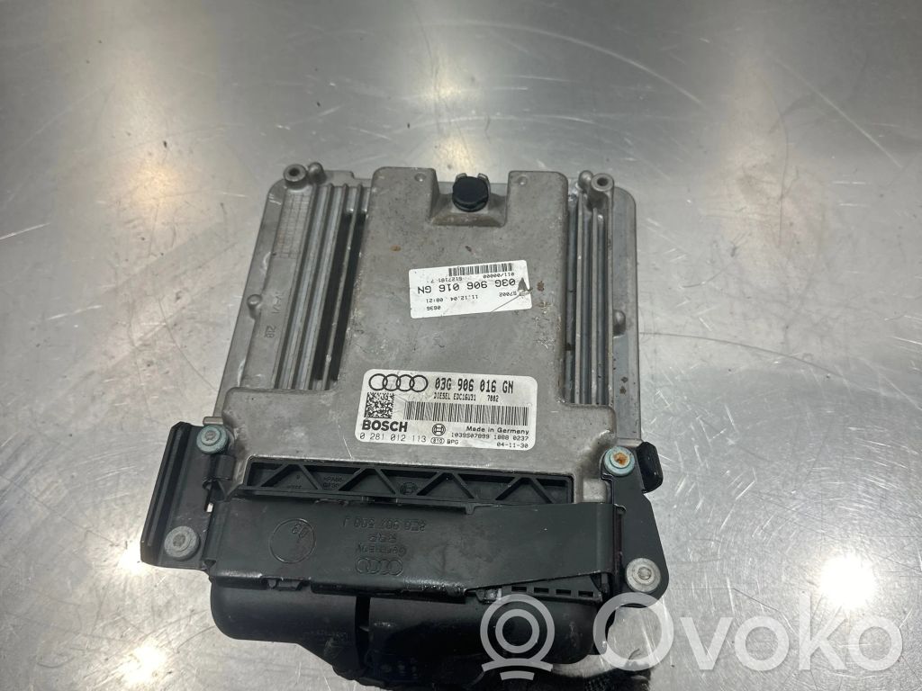 Sterownik / Moduł ECU   03G906016GN,1039S07899,0281012113