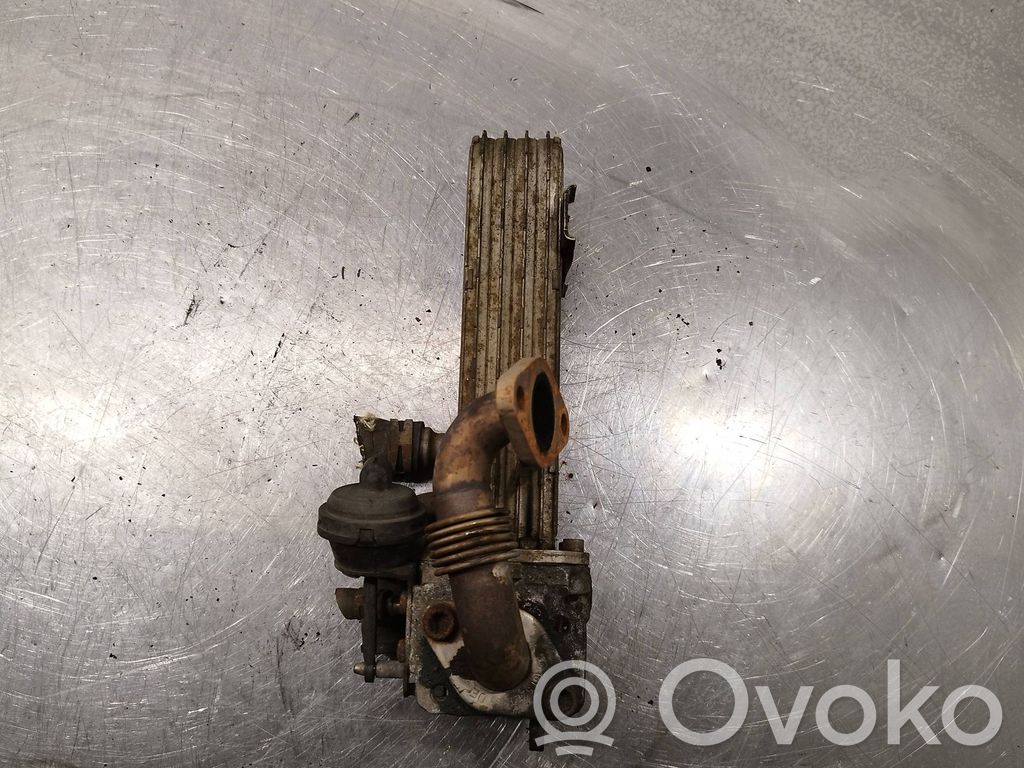 Volkswagen PASSAT B6 Zawór EGR 