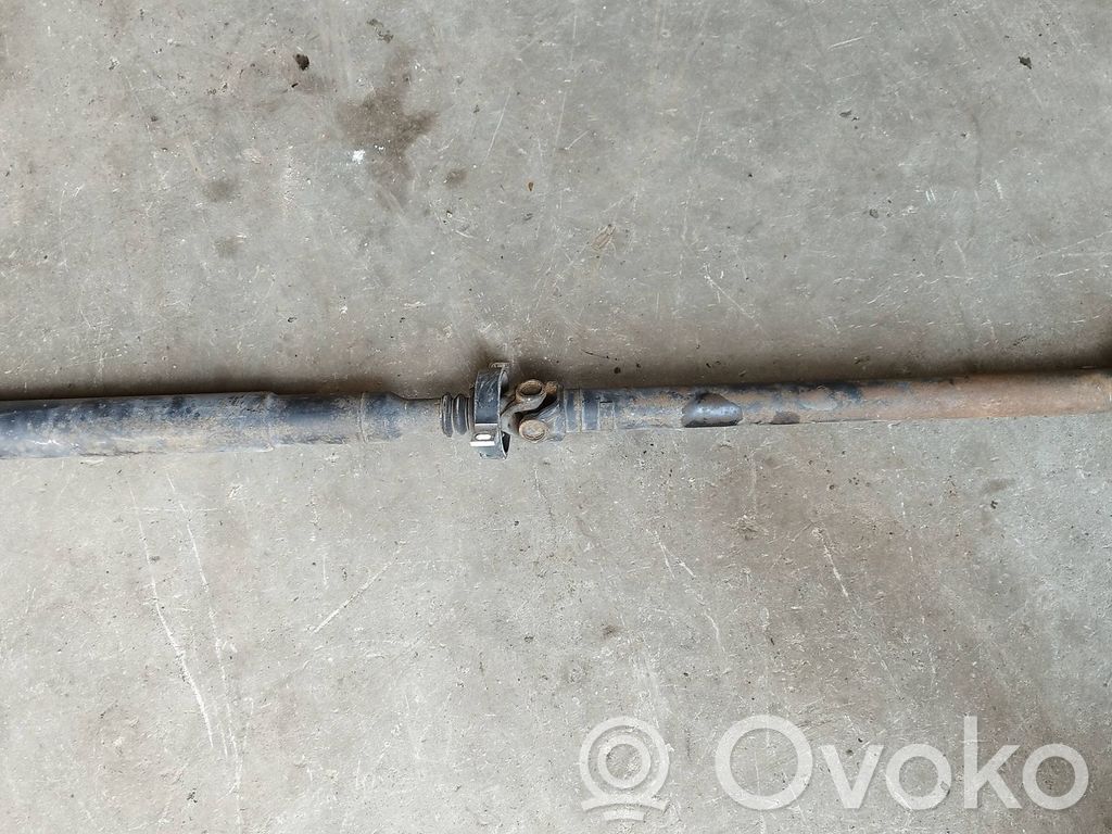 Drive shaft (set)