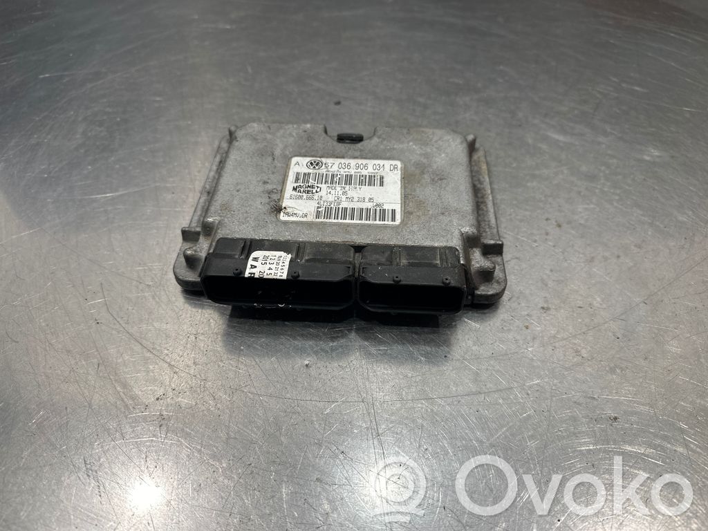 Engine control unit/module   036906034DR,6160066610,4L133FEBF