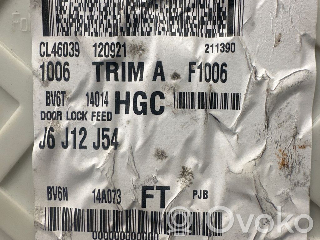 Ford Focus Fuse module 