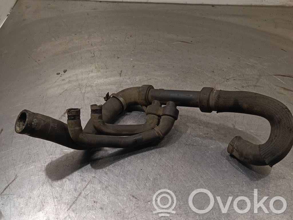 Engine coolant pipe/hose   20251