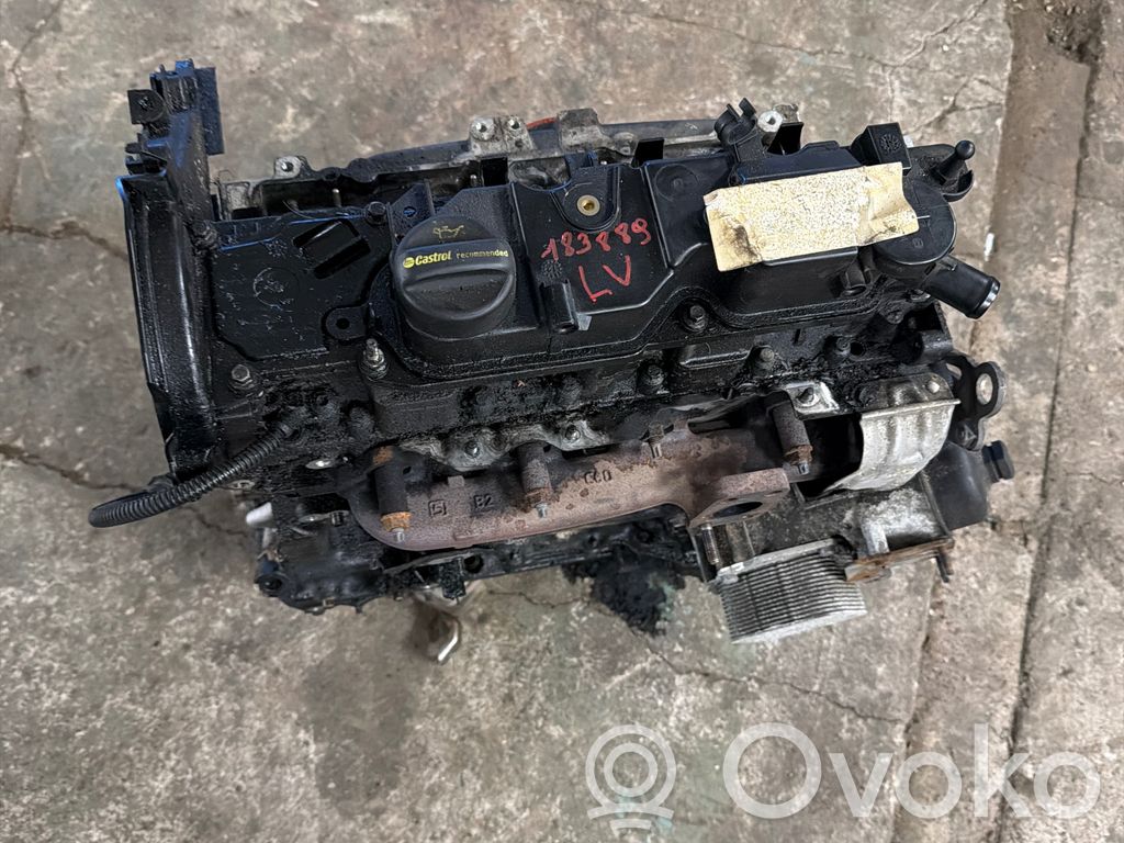 Variklis   DV6C,T1DB