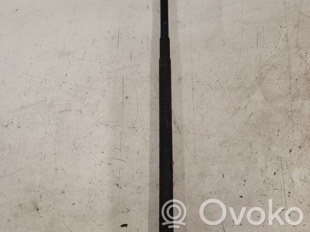 BMW 5 E60 E61 Amortiguador/puntal del maletero/compartimento de carga 