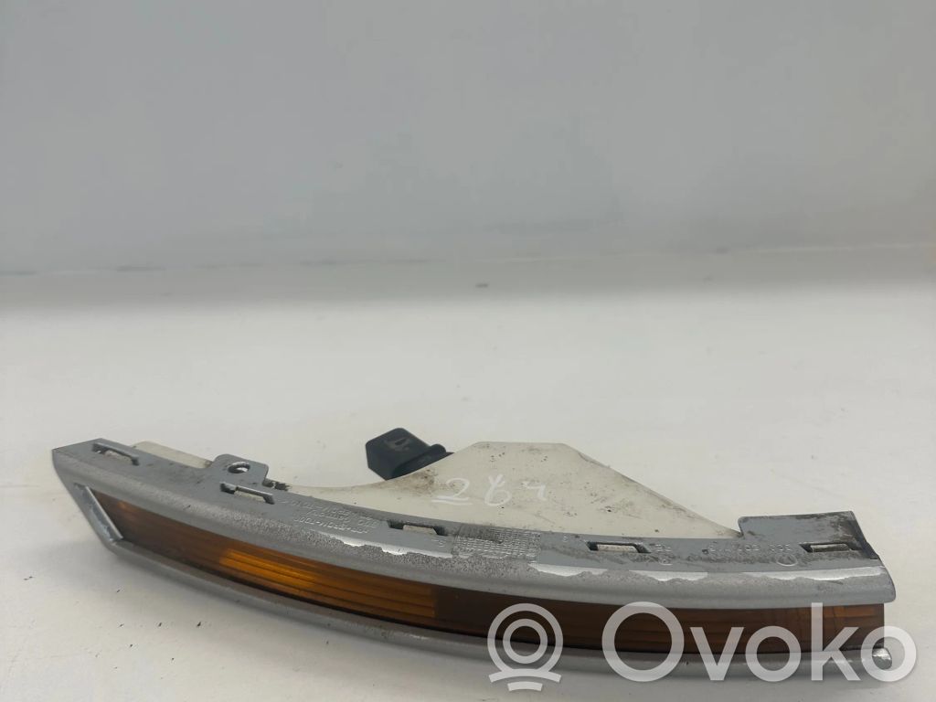 Volkswagen PASSAT B6 Front indicator light 
