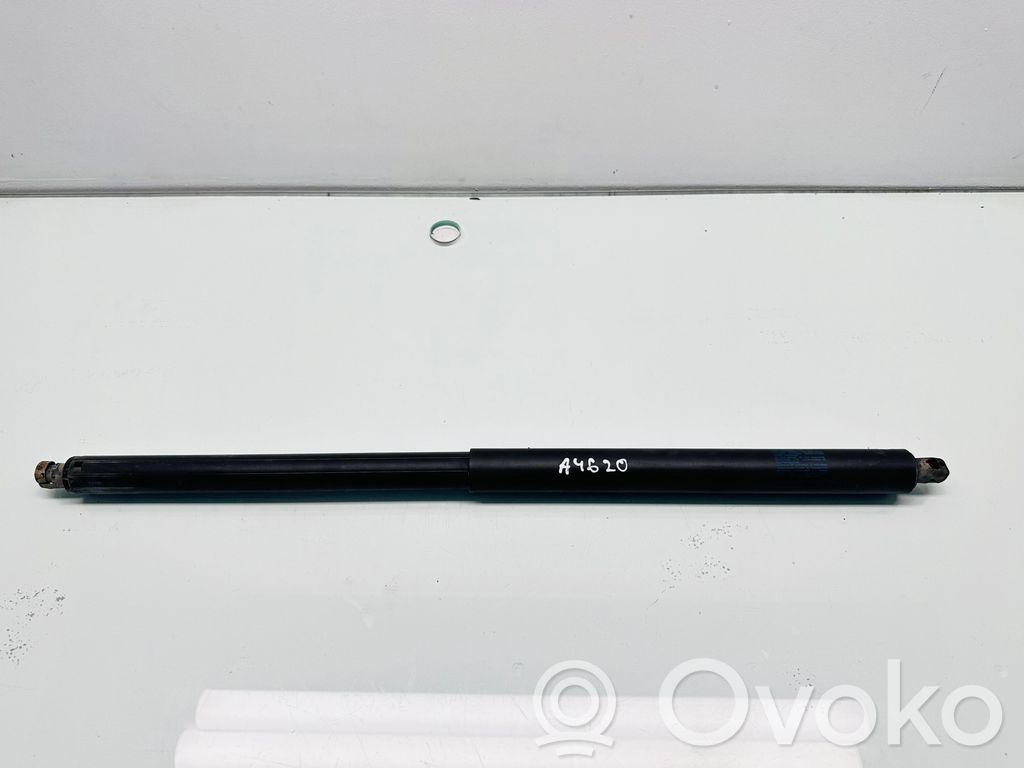 Tesla Model S Tailgate/trunk strut/damper 