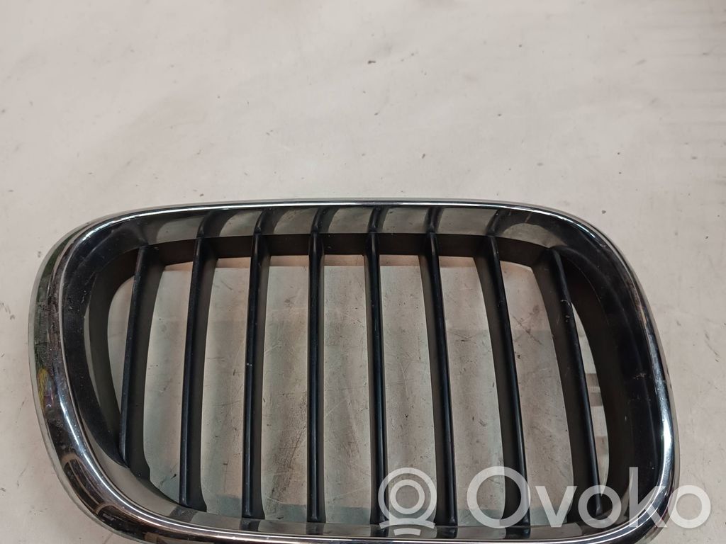BMW X5 E53 Front grill 