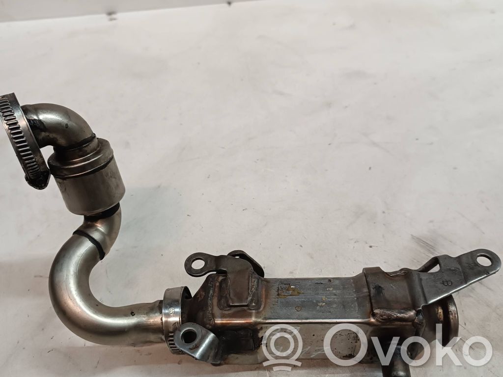 BMW 5 E39 EGR aušintuvas 