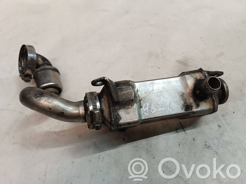 BMW 5 E39 EGR aušintuvas 